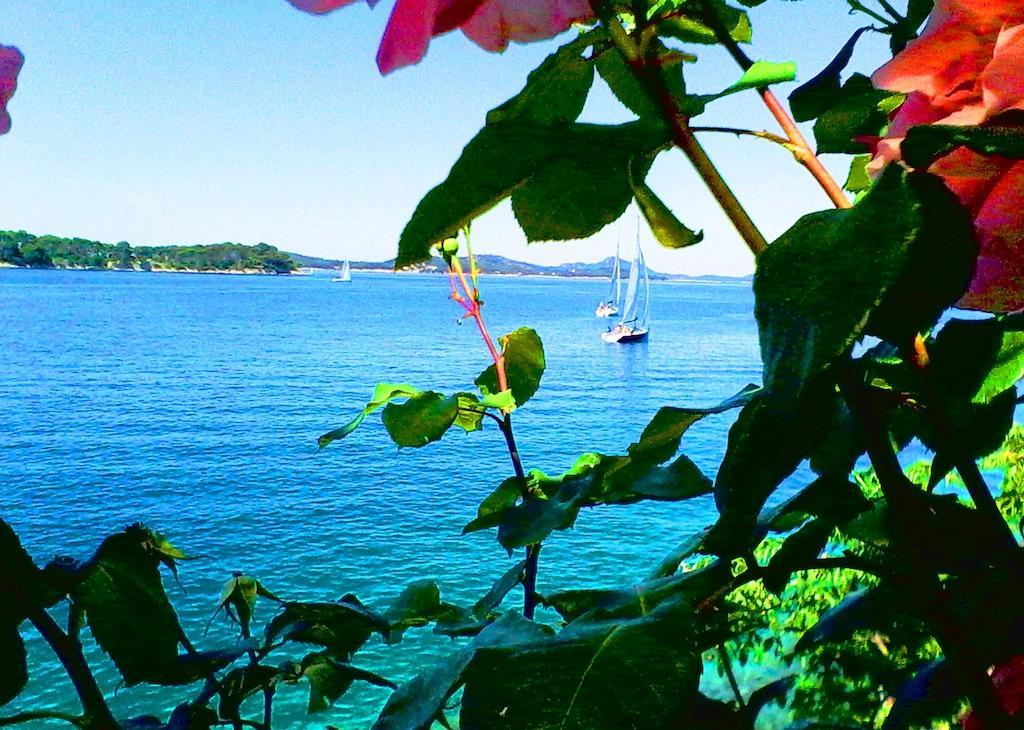 Appartement Sea Of Eden *