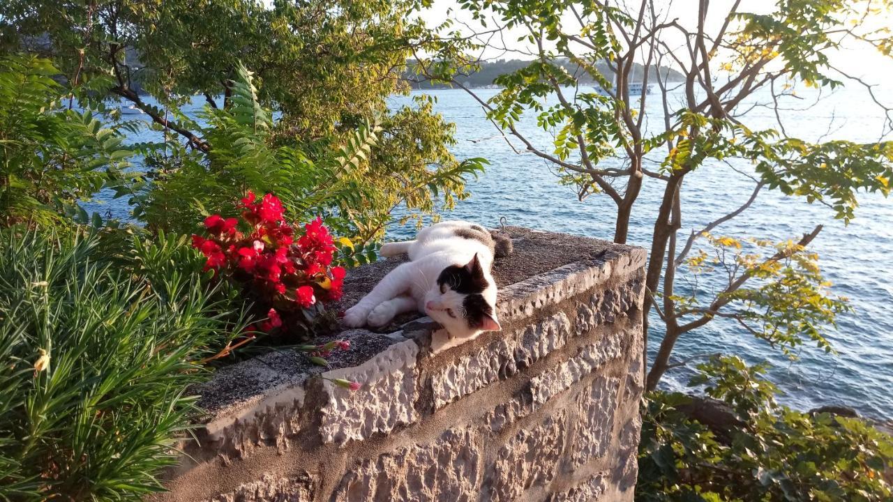 Sea Of Eden Appartamento Ragusa